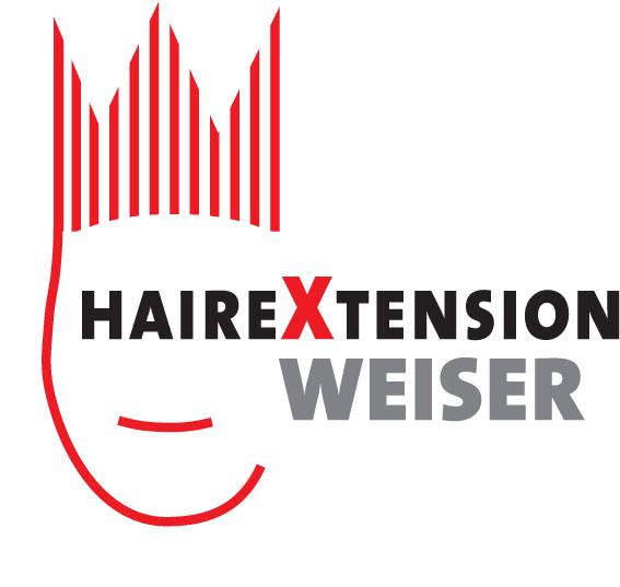 logo mit Link zur Hauptseite